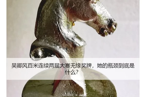 wu-qing-feng-bai-mi-lian-xu-liang-jie-da-sai-wu-yuan-jiang-pai-ta-de-ping-jing-dao-di-shi-shen-me-2-507.jpg